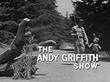 RTEmagicC_70-the-andy-griffith-show.jpg.