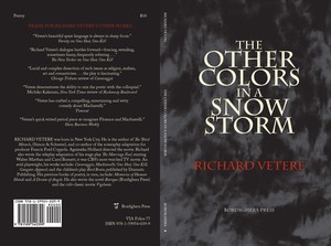 THE OTHER COLORS IN A SNOW STORM